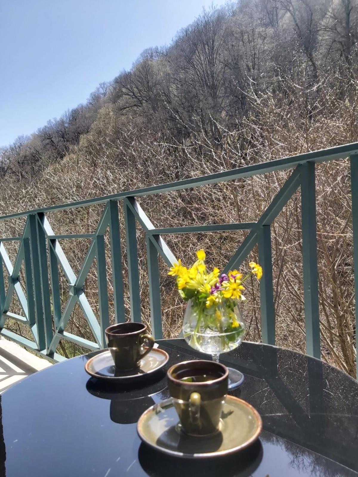 Valley Park 딜리잔 외부 사진